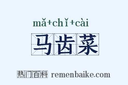 马齿菜是什么意思的图片